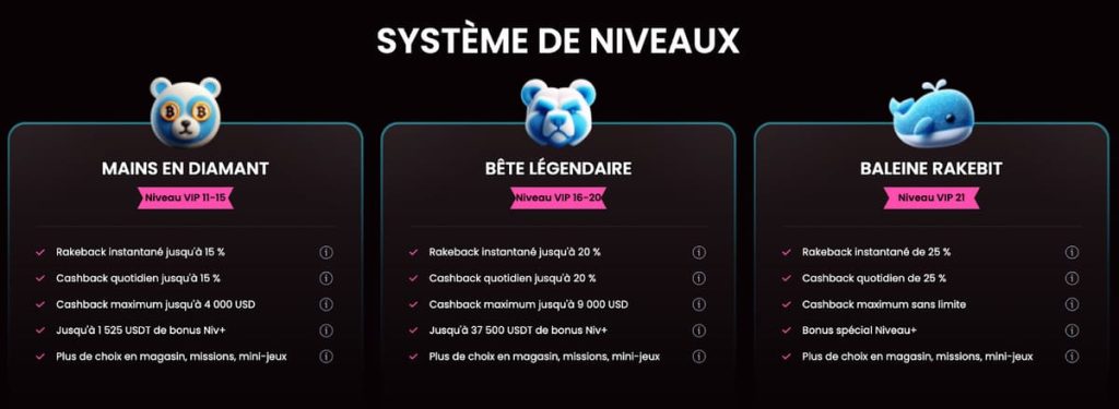 Rakebit Casino programme VIP